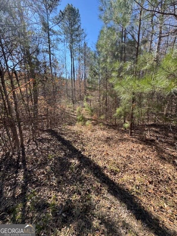 0 Brown Creek Rd, Shiloh, GA 31826