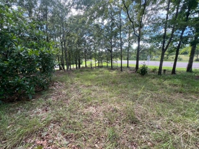 0 Ga Highway 0018, Pine Mountain, GA, 31822 — Photo 3