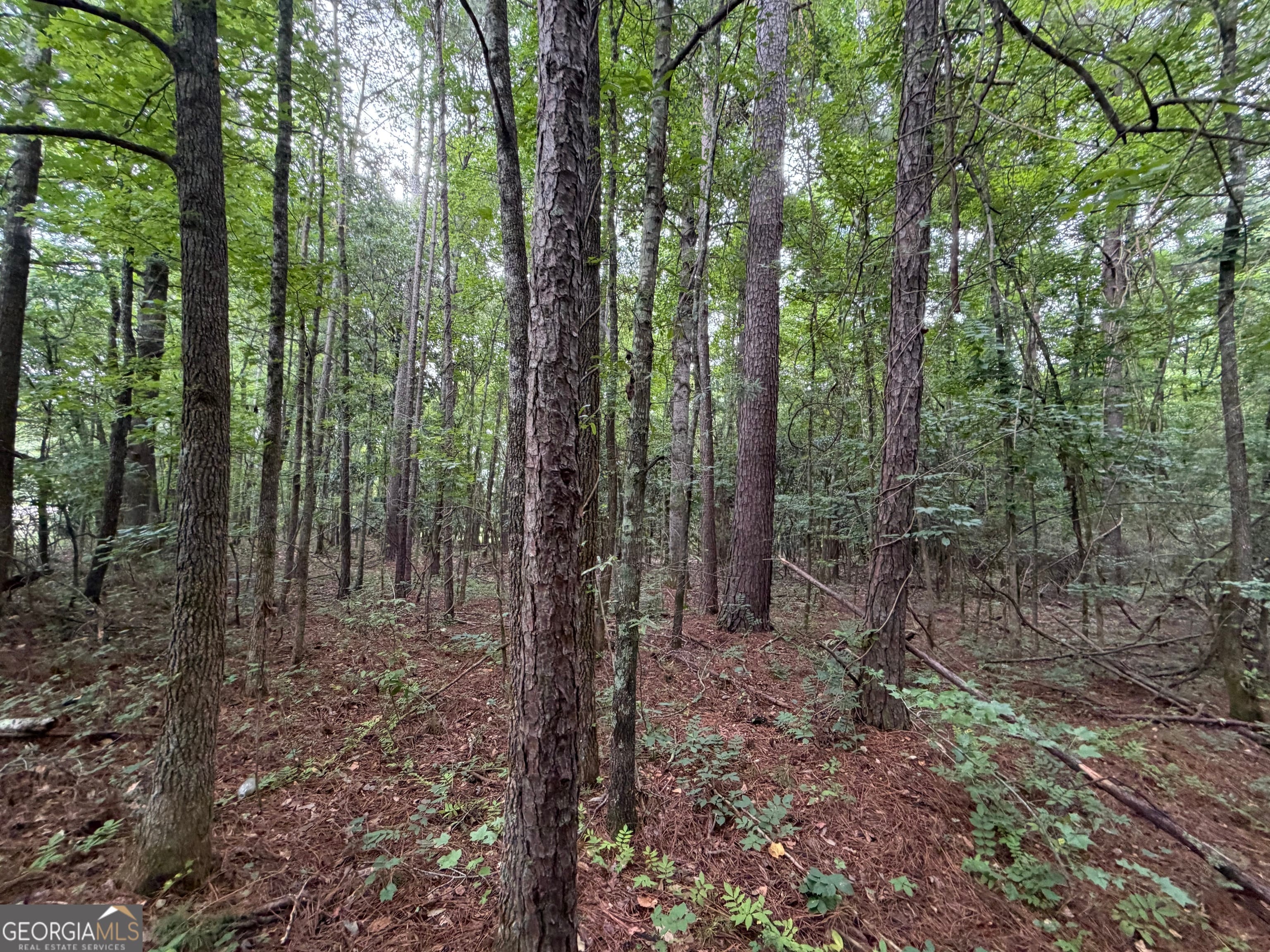 0 Cousins, Greenville, GA, 30222