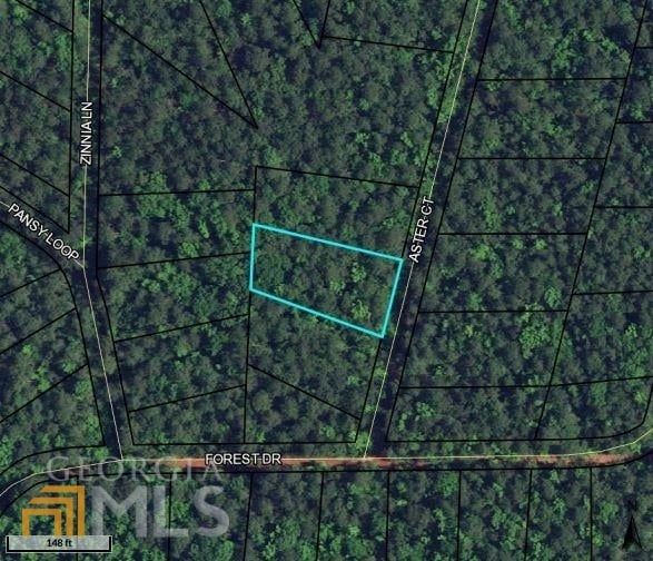 LOT 21 Aster, Waverly Hall, GA, 31831