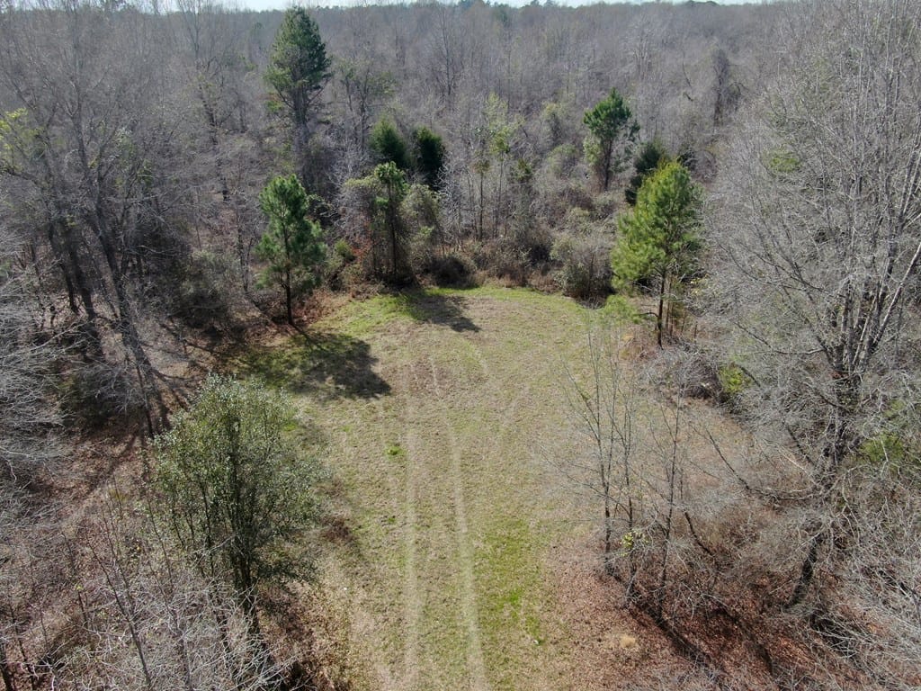 3100 Harvest Ln, Albany, GA 31721