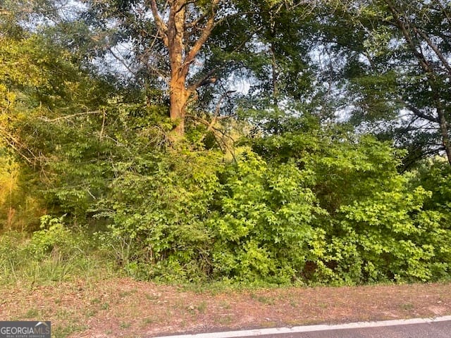0 McCrary Rd, Molena, GA 30258