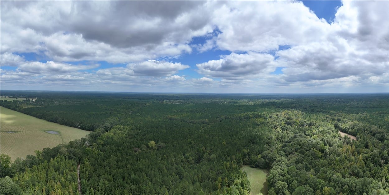 0 WENDE, Hurtsboro, AL, 36860