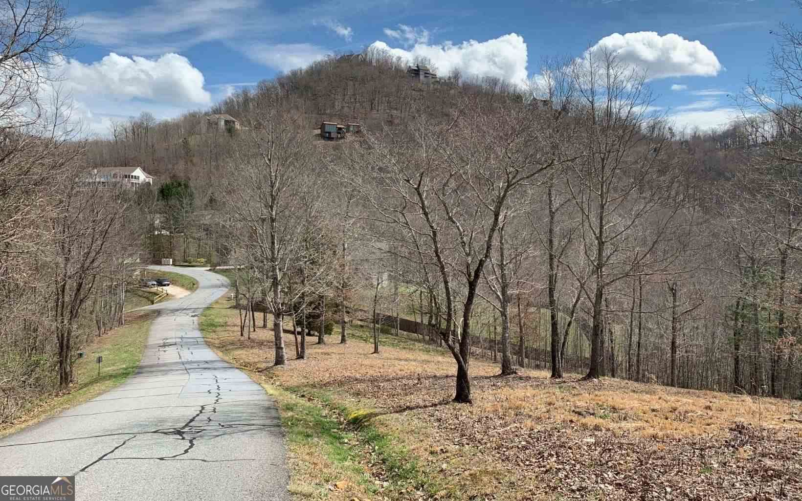 42 Dan Knob Dr, Hayesville, NC 28904