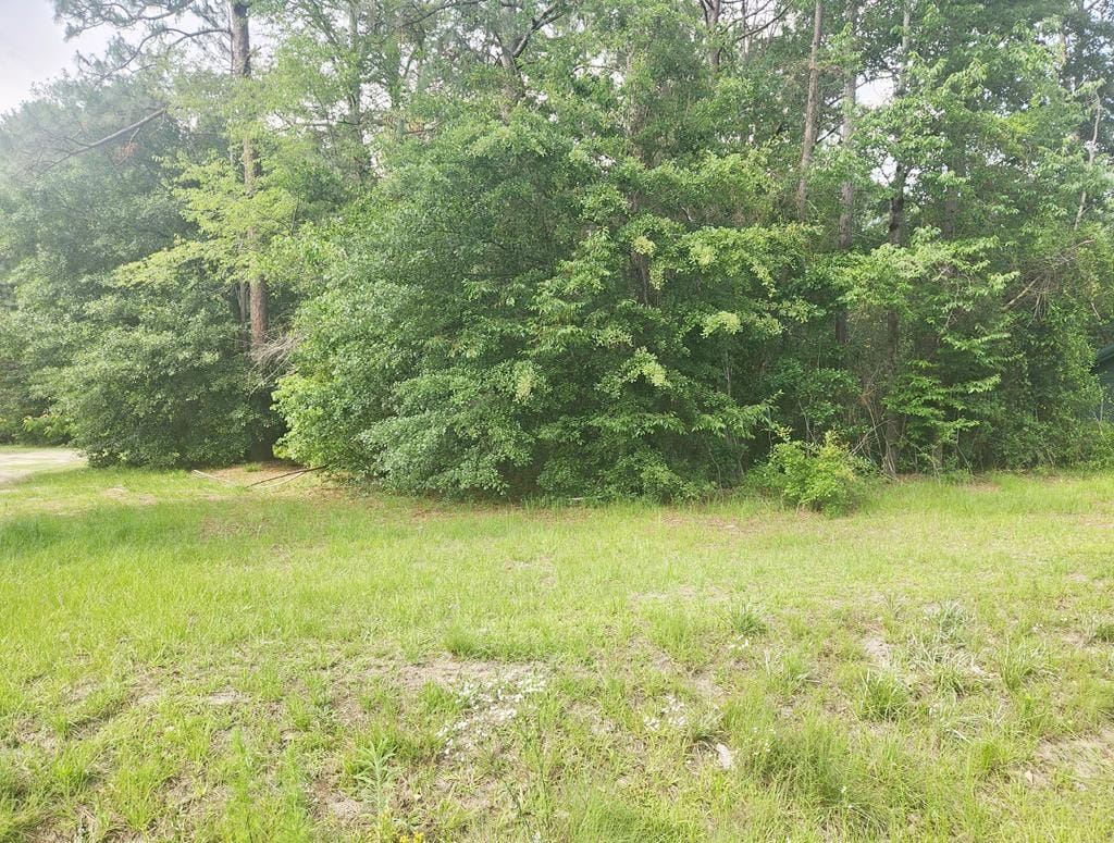 164 Park Place, Sylvester, GA, 31791