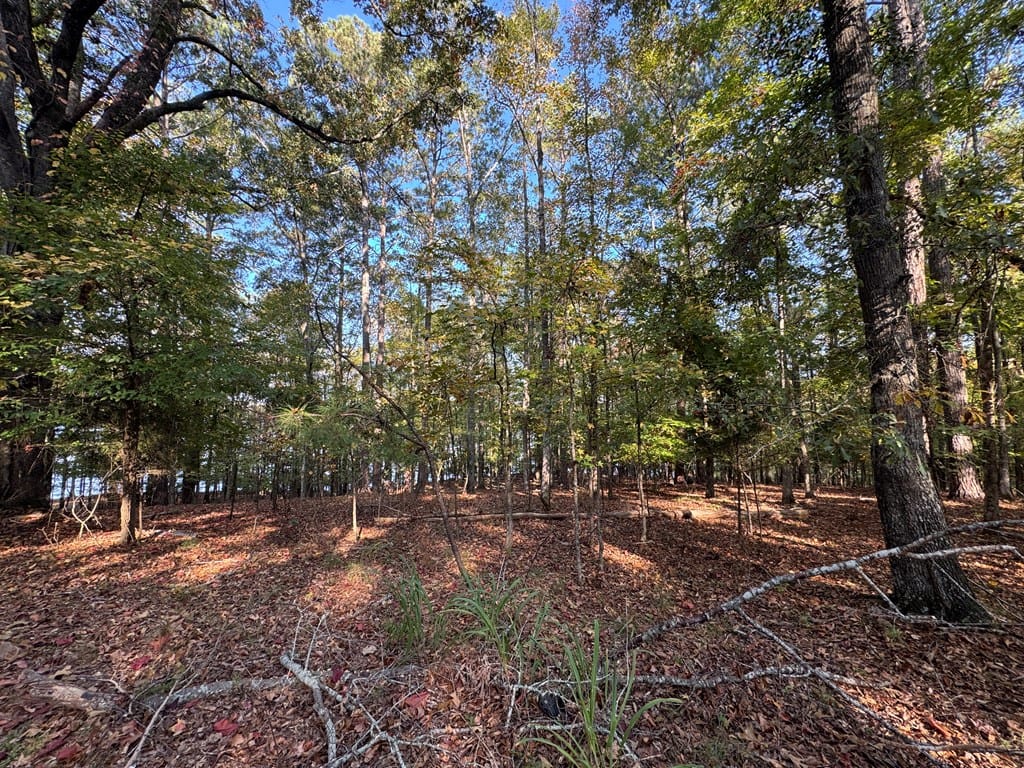 LOt 77 Piedmont Lake Road, Pine Mountain, GA, 31822 — Photo 3