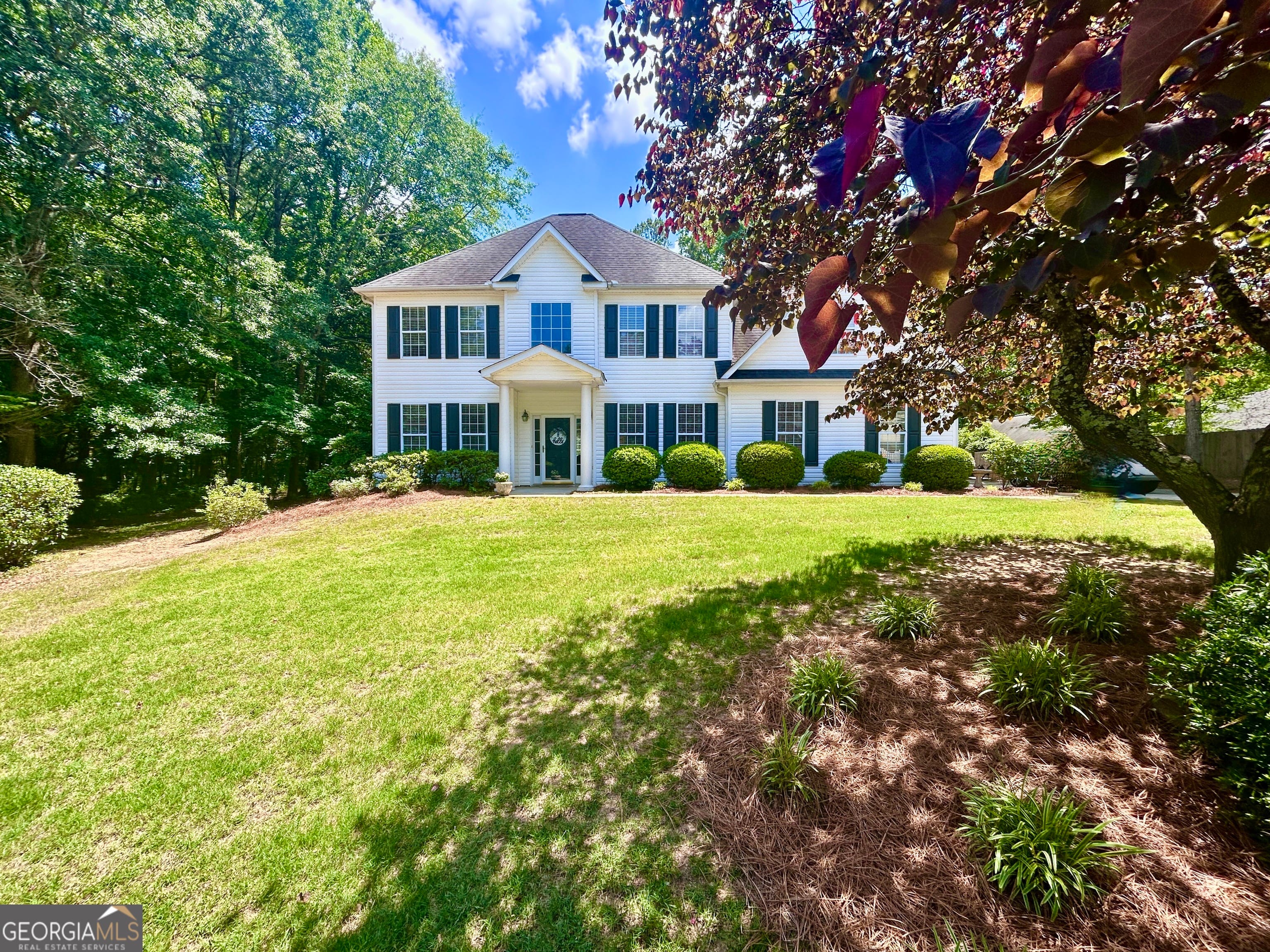 115 Leesburg Plantation Dr, Sharpsburg, GA 30277