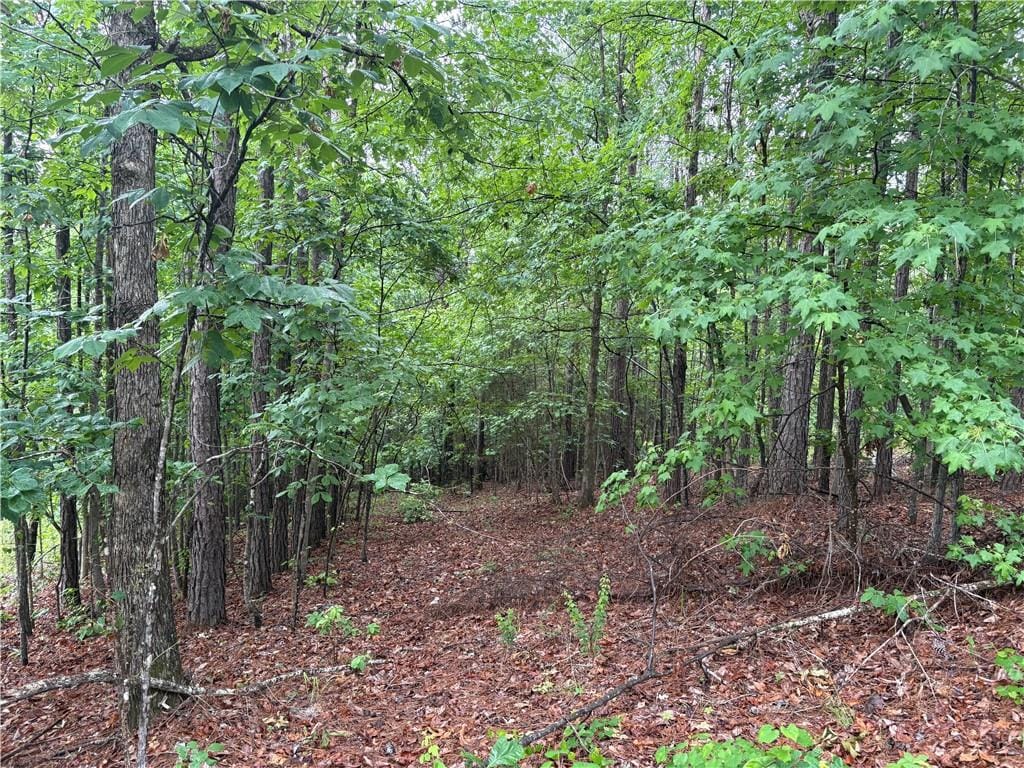 0 Lee Road 257, Salem, AL, 36874