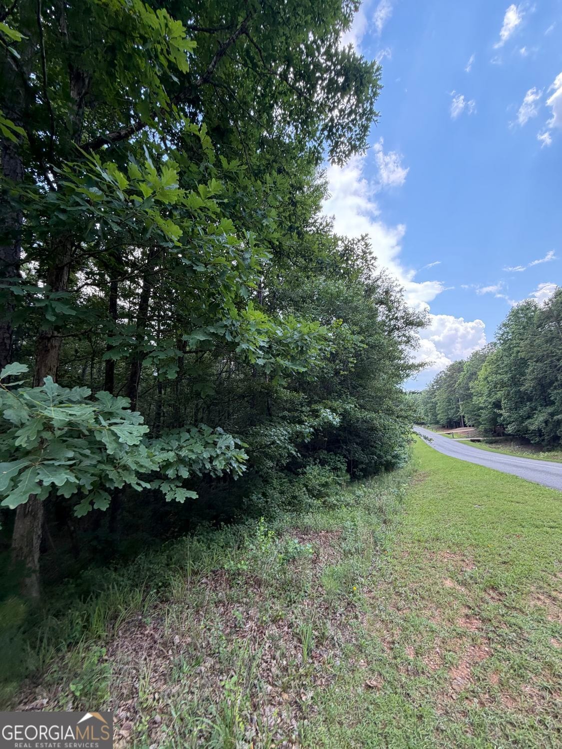 0 Serenity Loop, Cataula, GA 31804