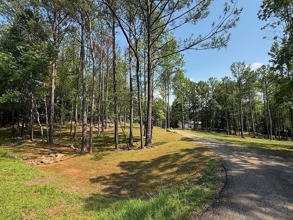 245 Lake Talbot Rd, Box Springs, GA 31801