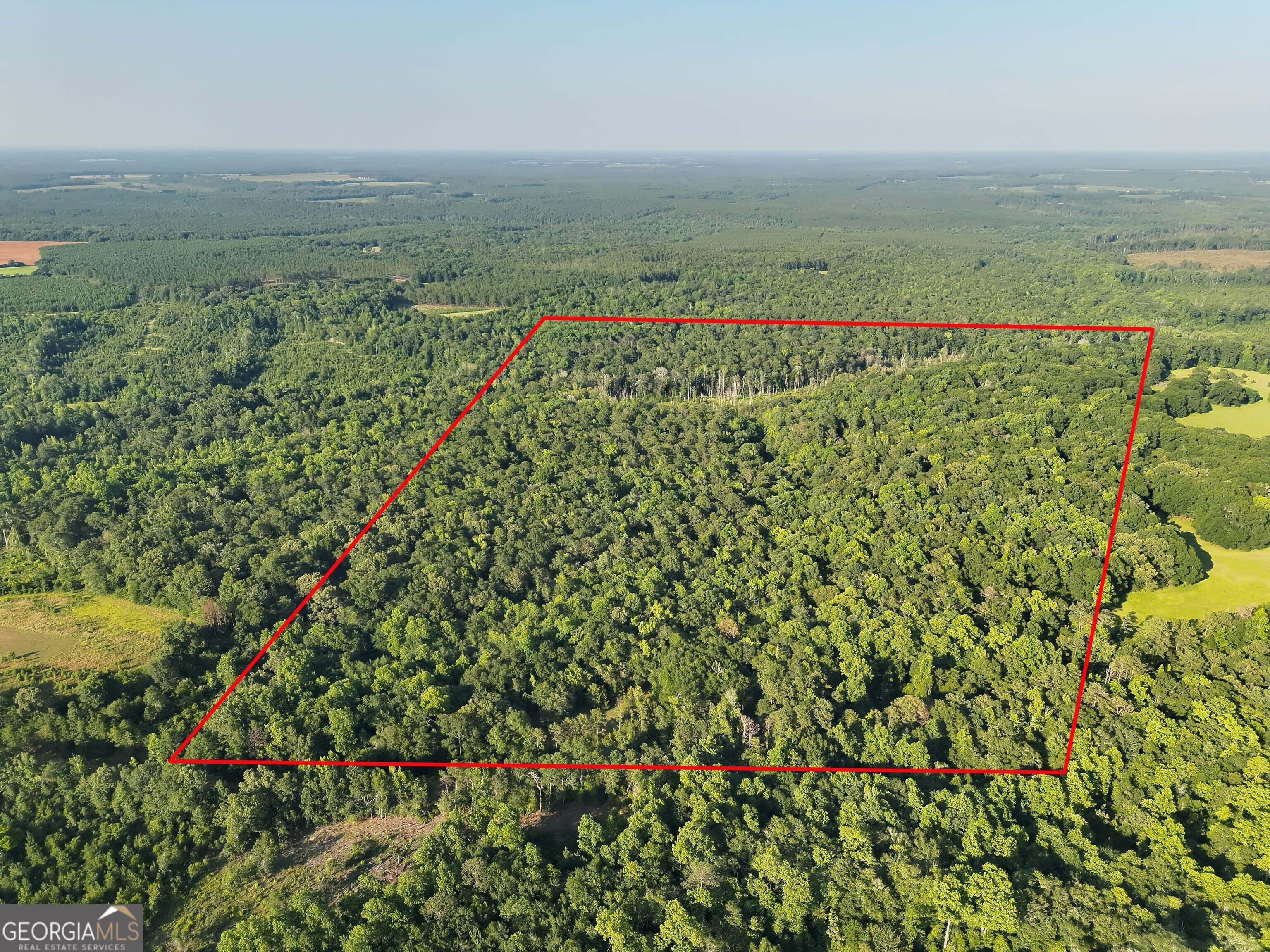 TBD Wilson, Cuthbert, GA, 39840