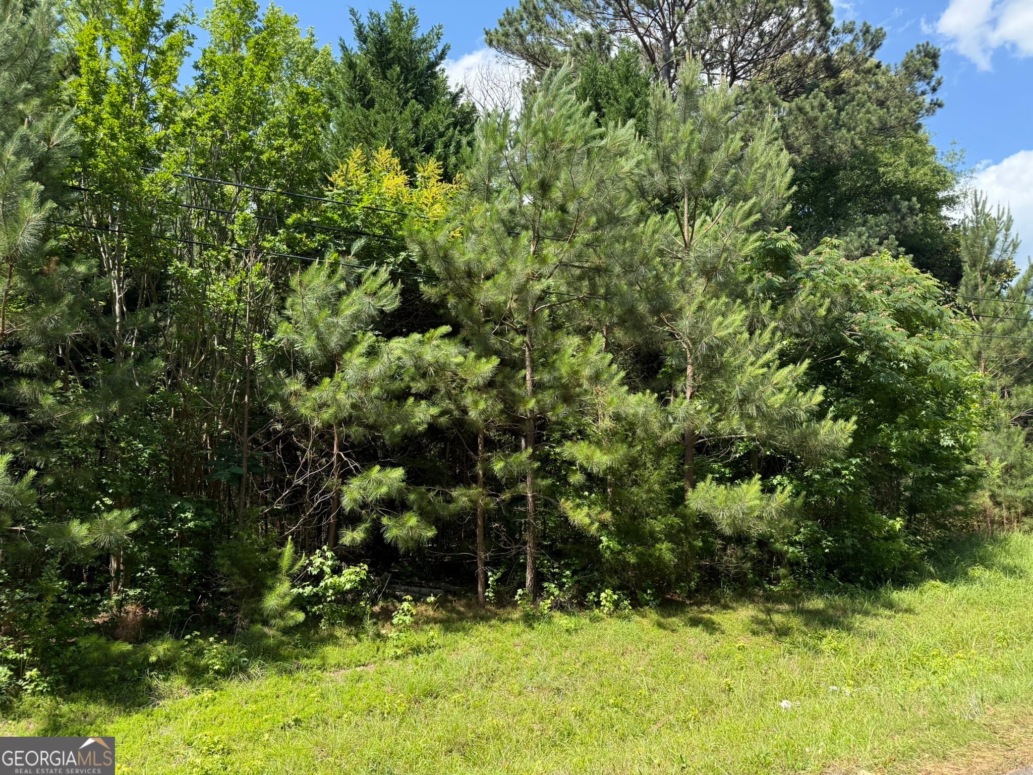 1425 River Rd, Warm Springs, GA 31830