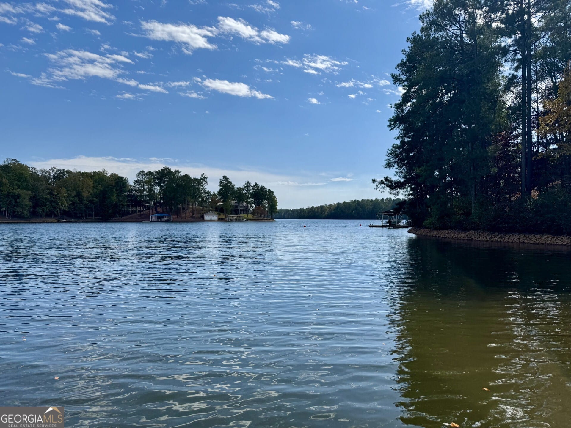 4481 Co Rd 99, Wedowee, AL 36278