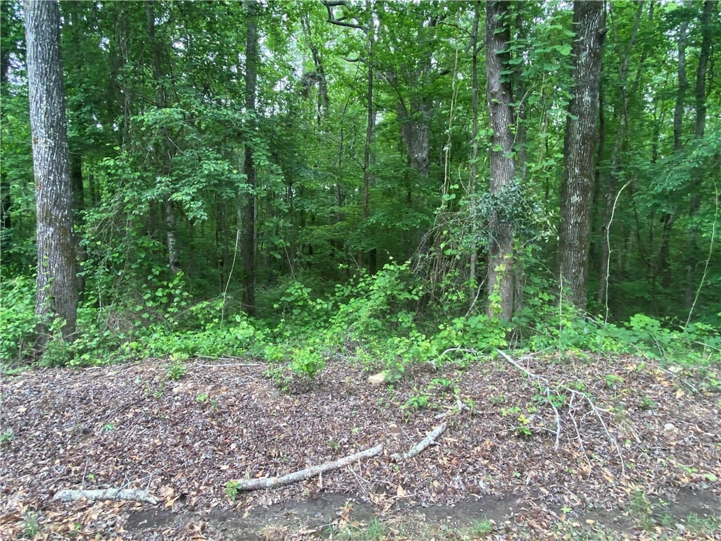 5973 Lee Road 70, Waverly, AL 36879