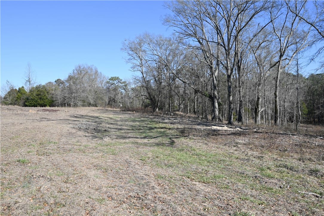 3505 RIDGELINE, Auburn, AL, 36830 — Photo 2