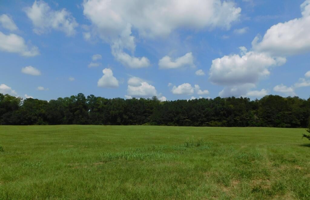 0 US-19, Camilla, GA 31730