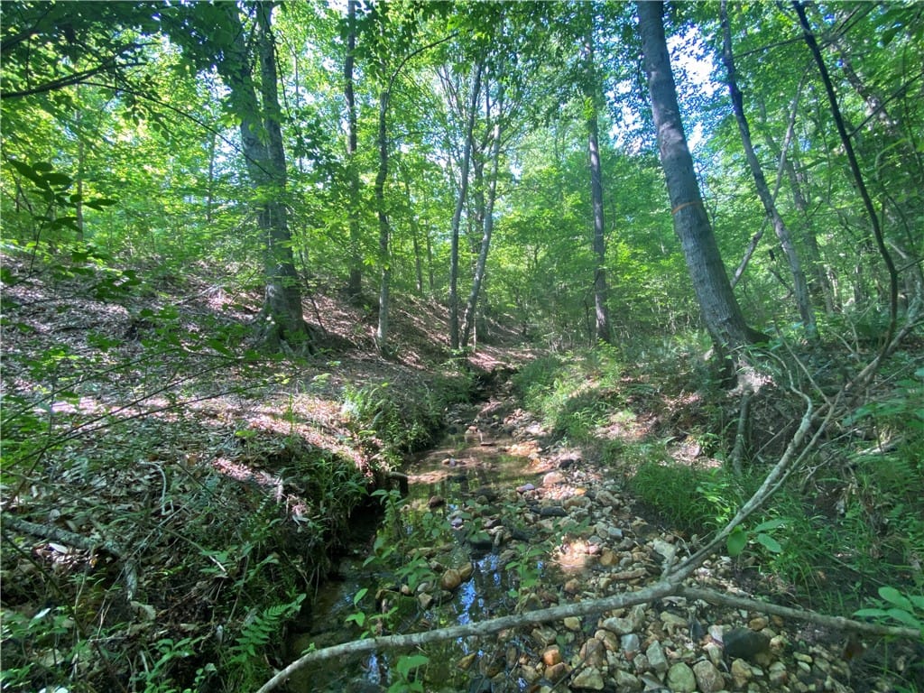 0 ELDER, DADEVILLE, AL, 36853 — Photo 3