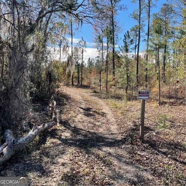 Pineville Rd, Buena Vista, GA