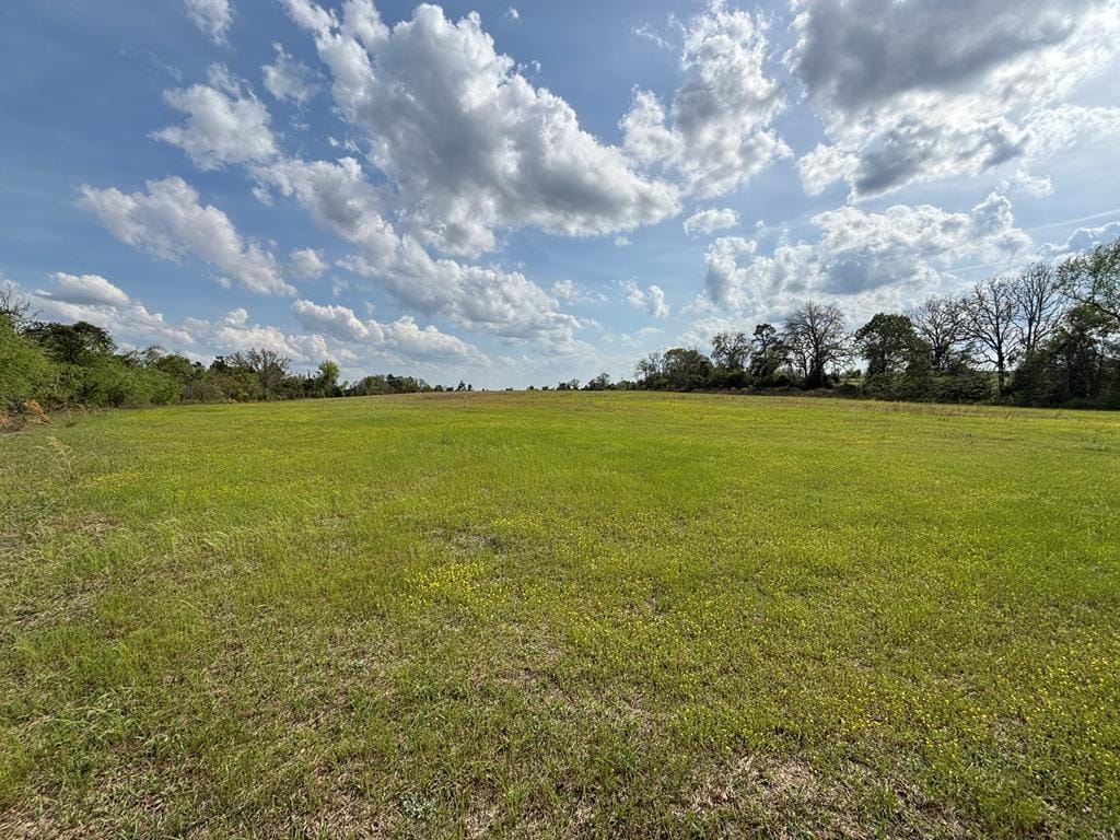 000 Hayes Road, Mauk, GA, 31058, Lines are approximate, looking north from southern