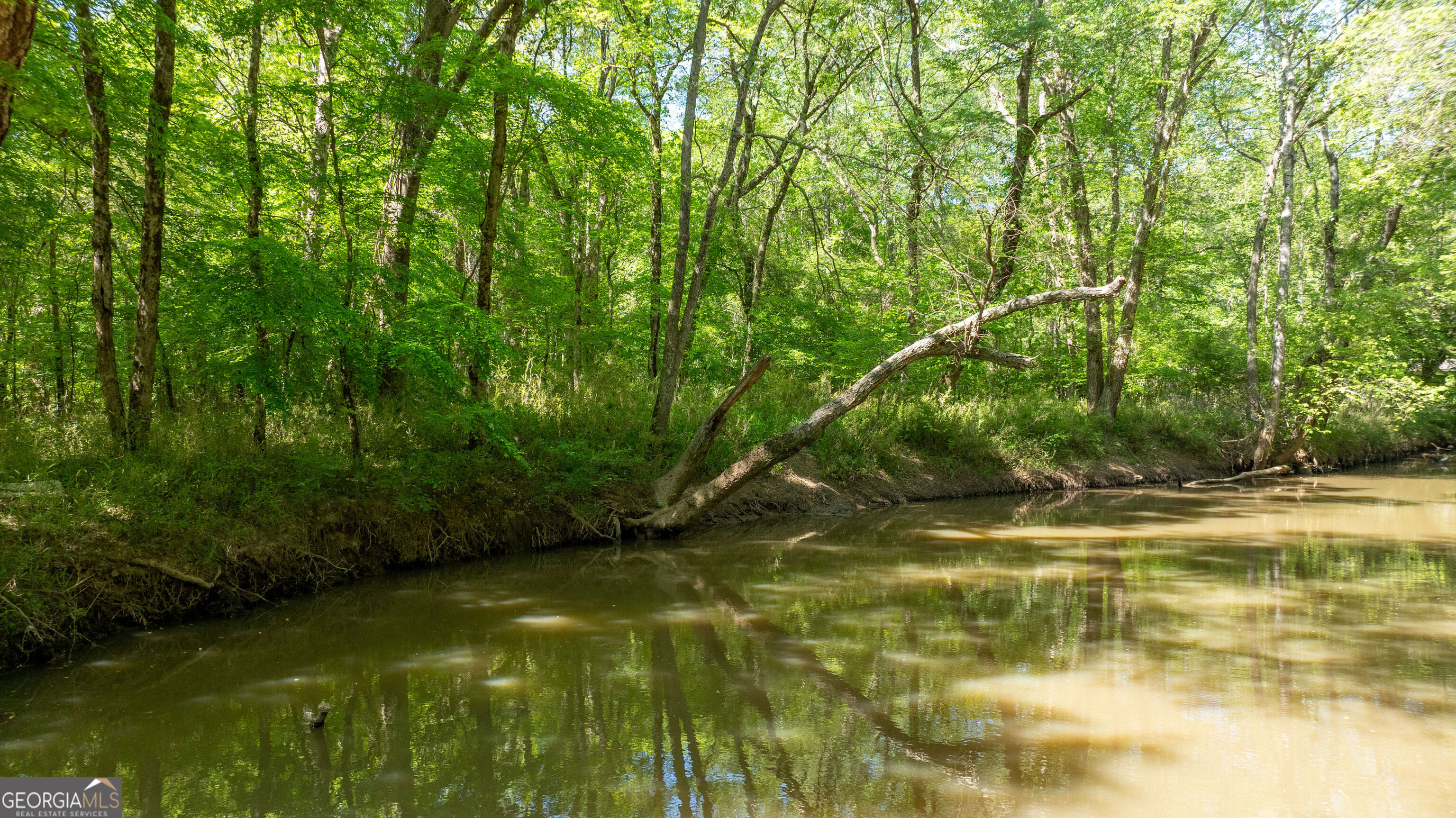 GA-54 & Bear Creek Rd, Georgia 30259