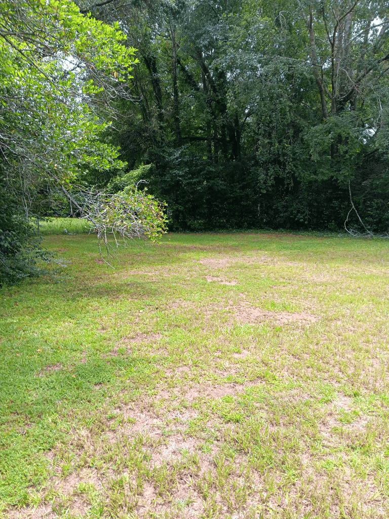 520 Baldwin Drive, Albany, GA, 31707