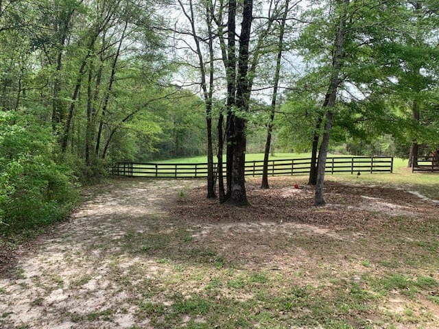 7683 Cartledge Road, Box Springs, GA, 31801 — Photo 2