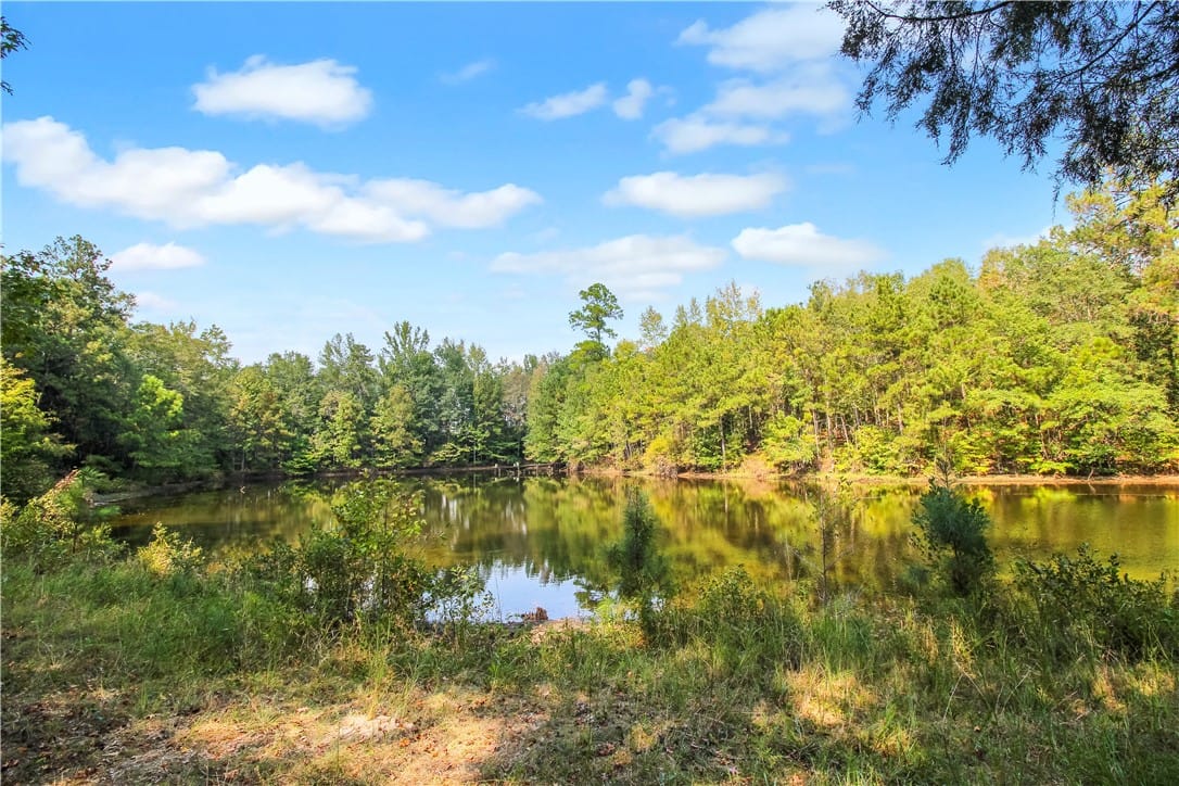 1004 LEE ROAD 157, Opelika, AL, 36804 — Photo 3