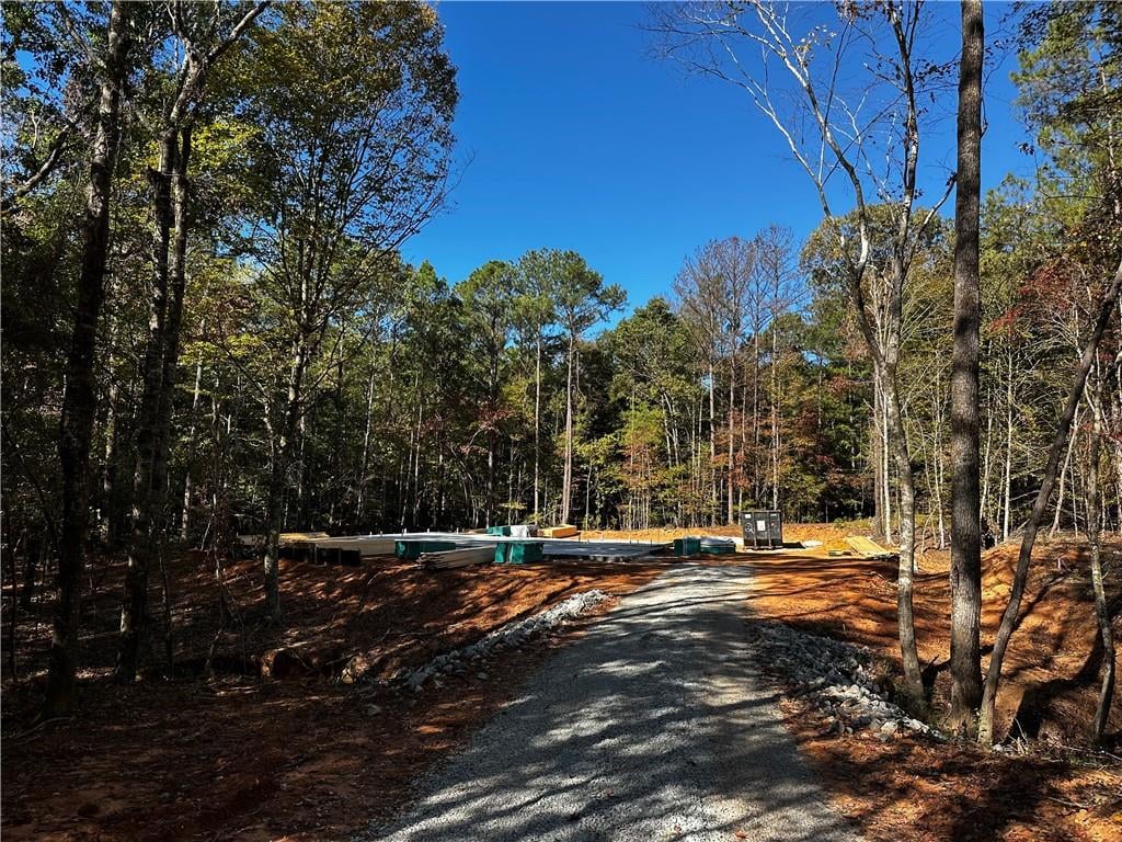 Lot202 Lee Road 367, Valley, AL, 36854