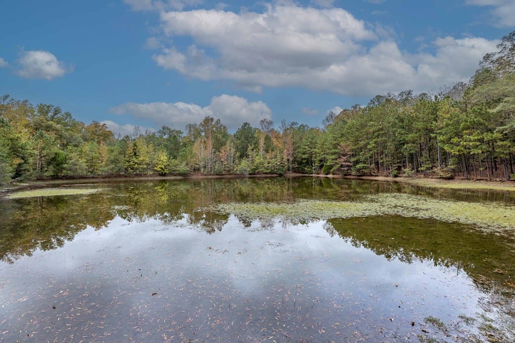 7901 Shallowford Road, Upatoi, GA, 31829 — Photo 2