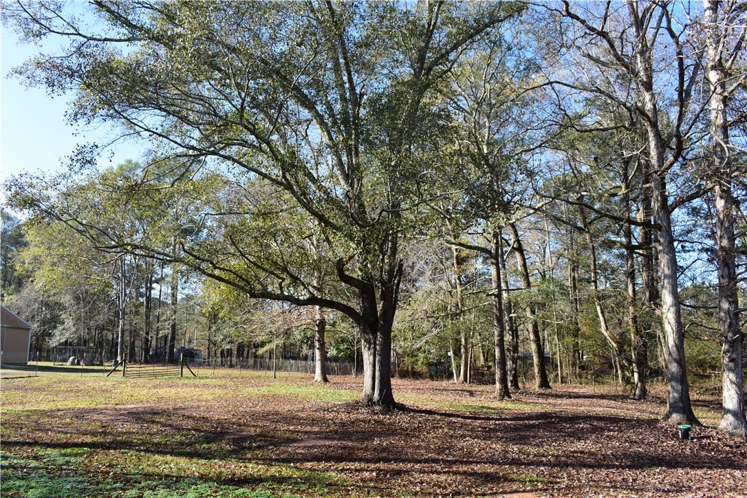 4170 Co Rd 388, Valley, AL 36854, USA — Photo 3