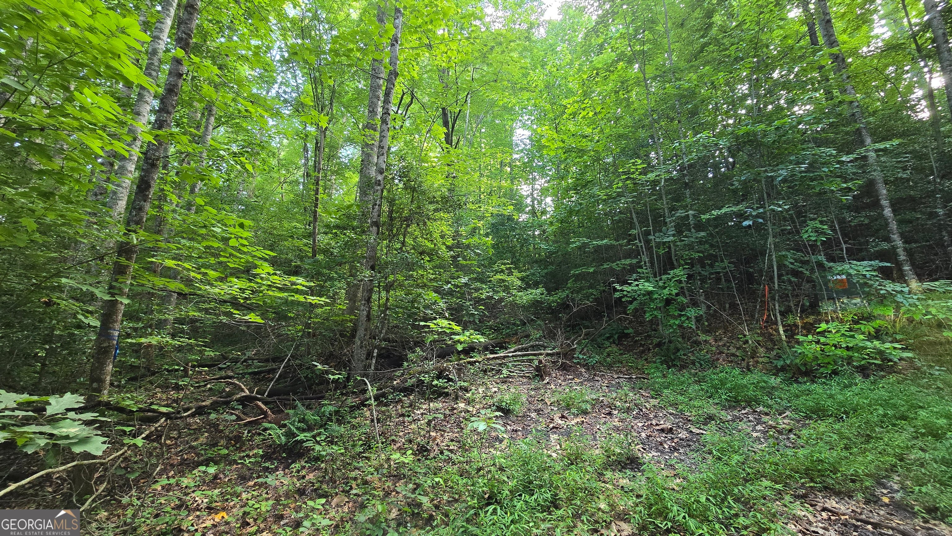 14 Kilpatrick Point Terrace, Hayesville, NC, 28904