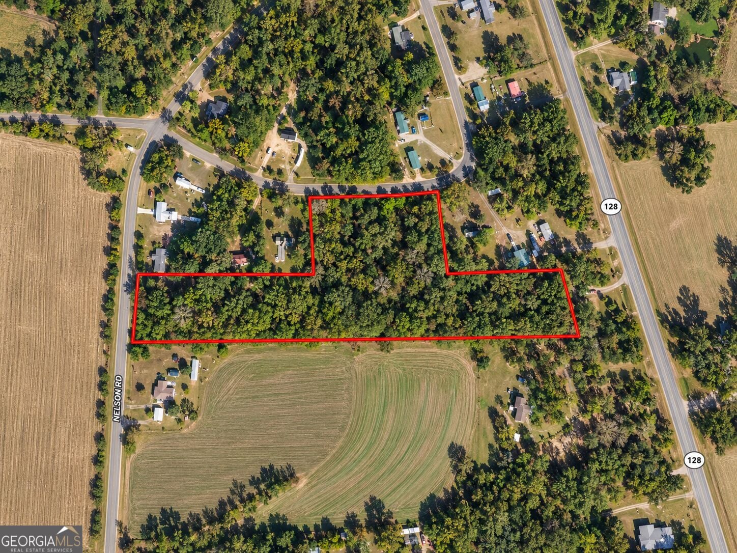 9.93 ACRES Park, Reynolds, GA, 31076
