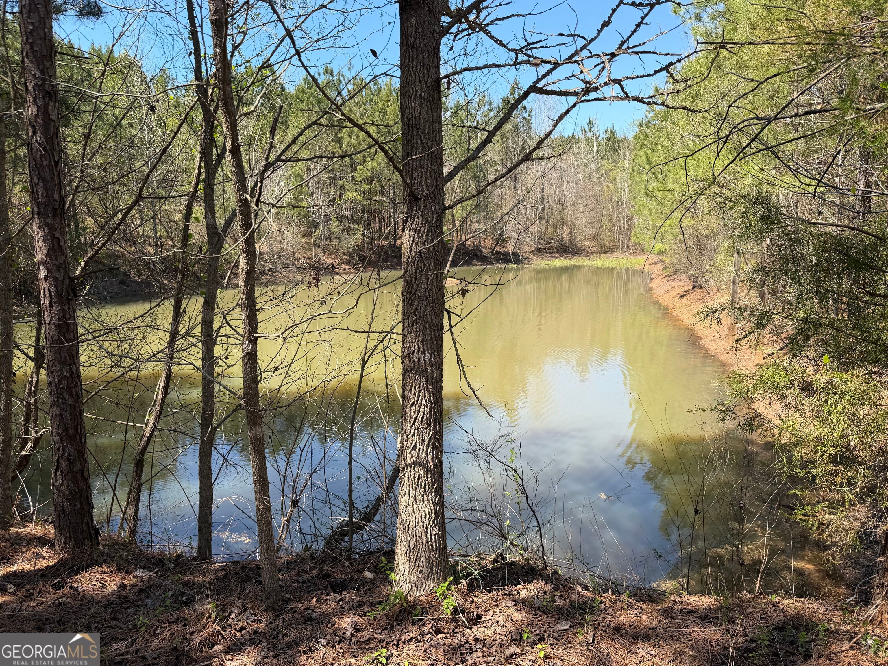 0 County Road 79, Wadley, AL, 36276