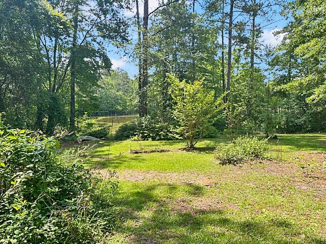 3699 Co Rd 54, Notasulga, AL 36866, A tranquil pond view creates a serene backdrop for