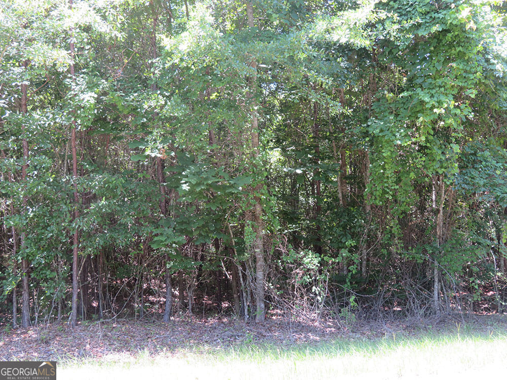 1 Cool Branch Rd, Georgetown, GA 39854