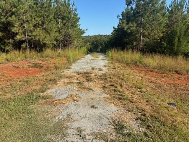 Parcel 2 Mountain Drive, Hamilton, GA, 31811