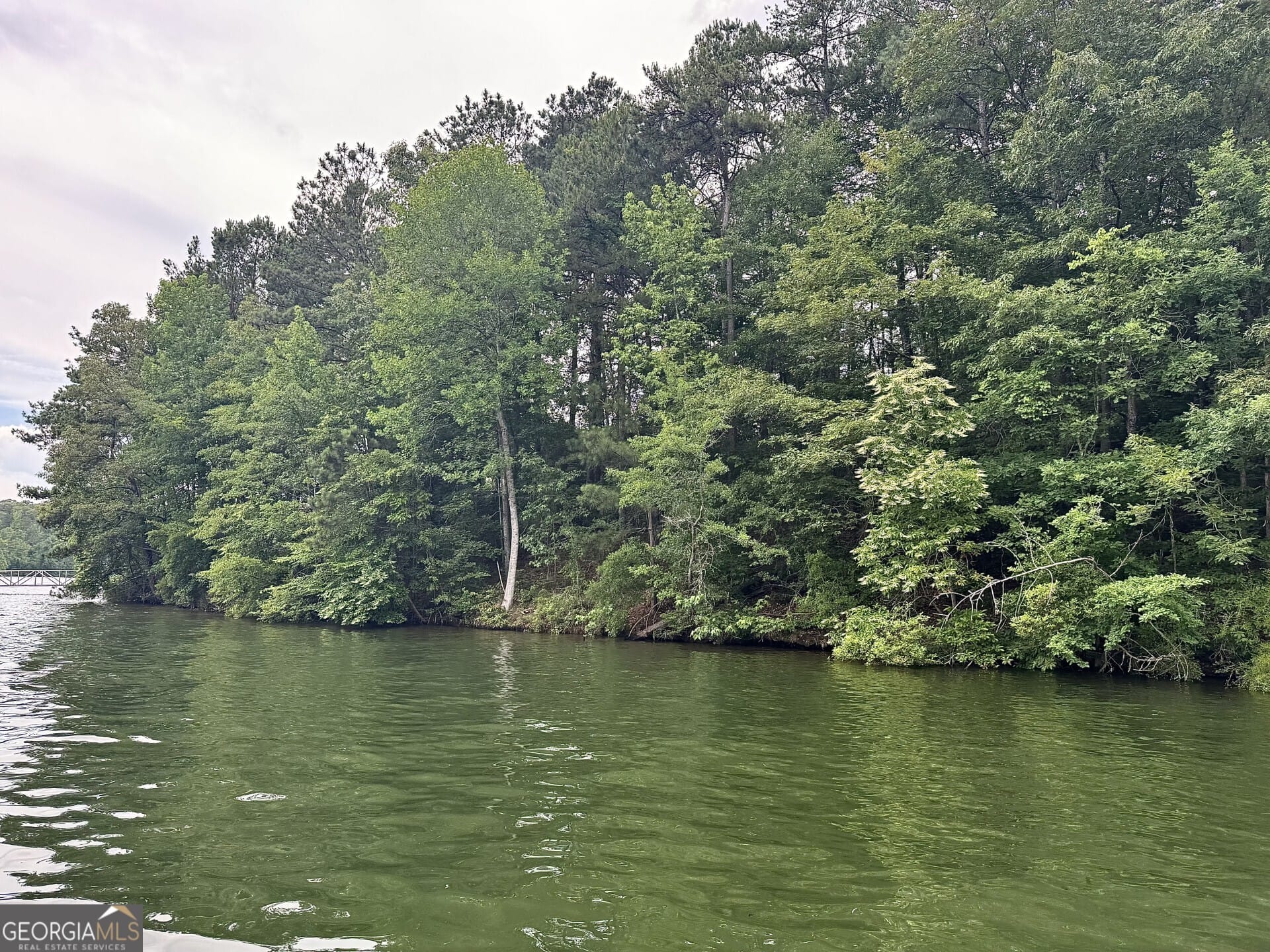 288 Walnut St, Wedowee, AL 36278