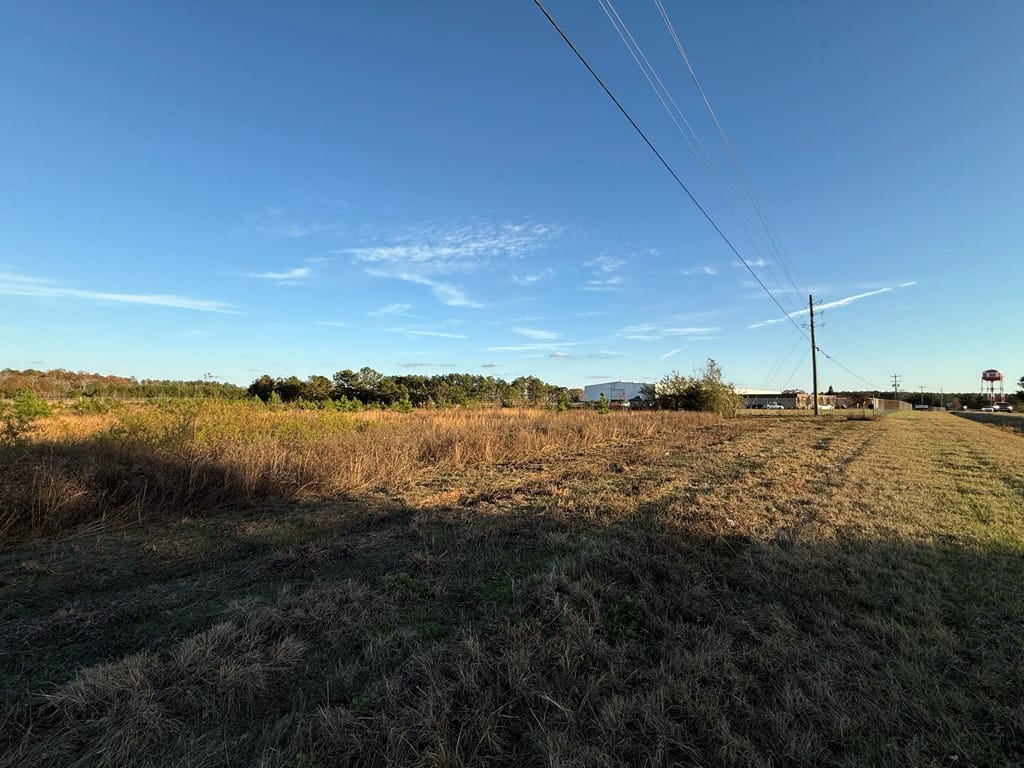 0 Ga Highway 0041 South, Buena Vista, GA, 31803