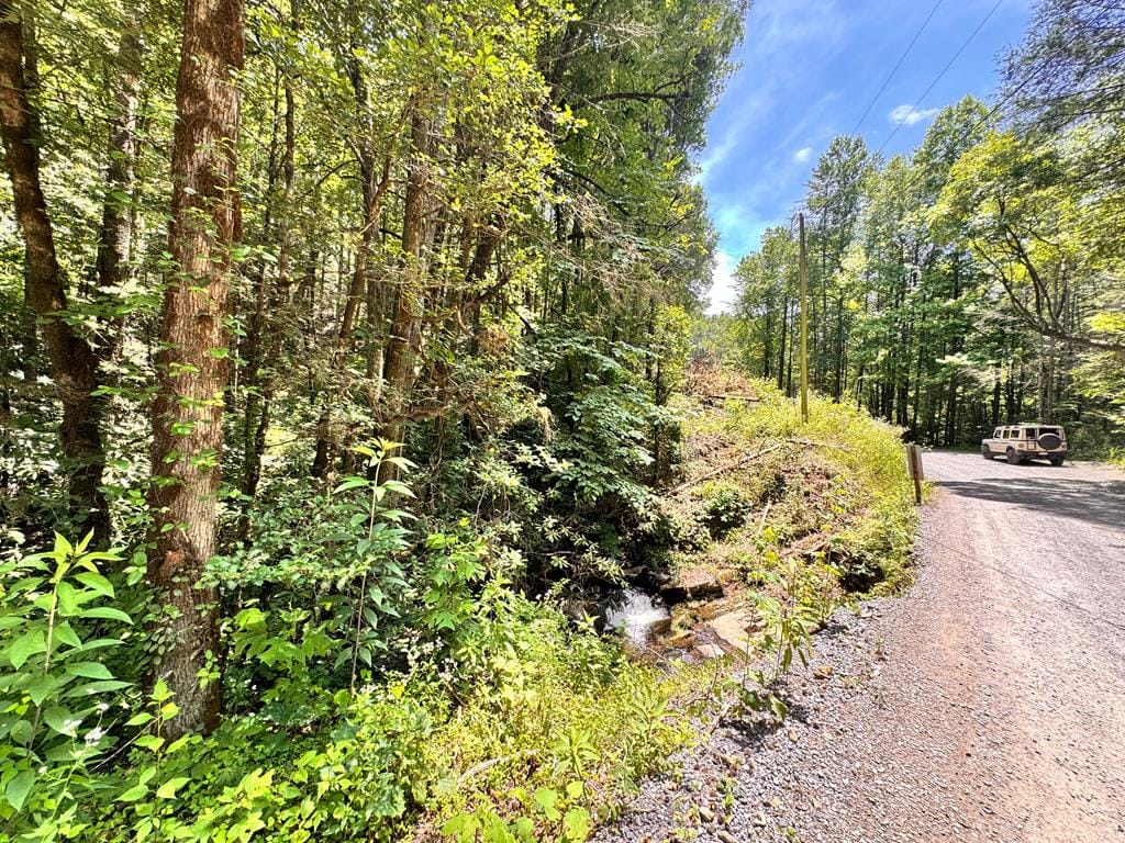 0 Grassy Mountain Road, Ellijay, GA, 30540