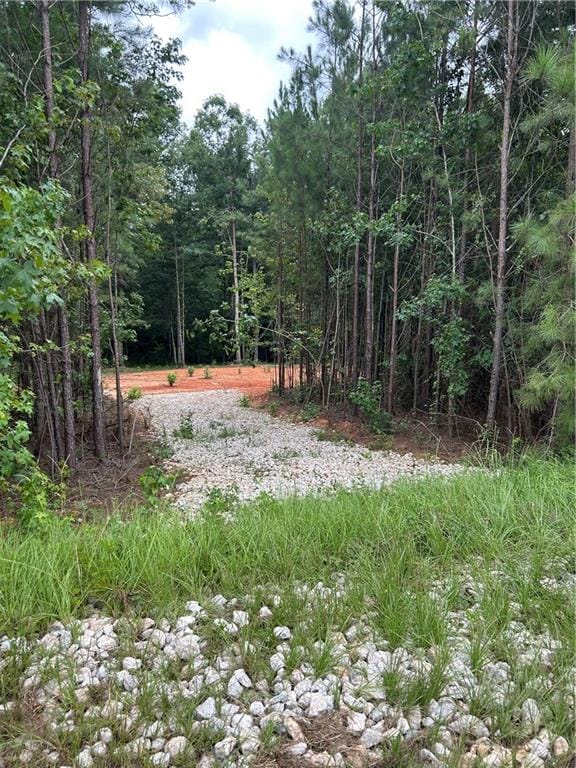 0 Clark, Roanoke, AL, 36274