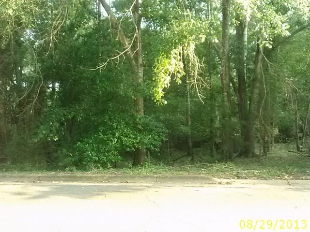 0 Thomas Road, Lumpkin, GA, 31815