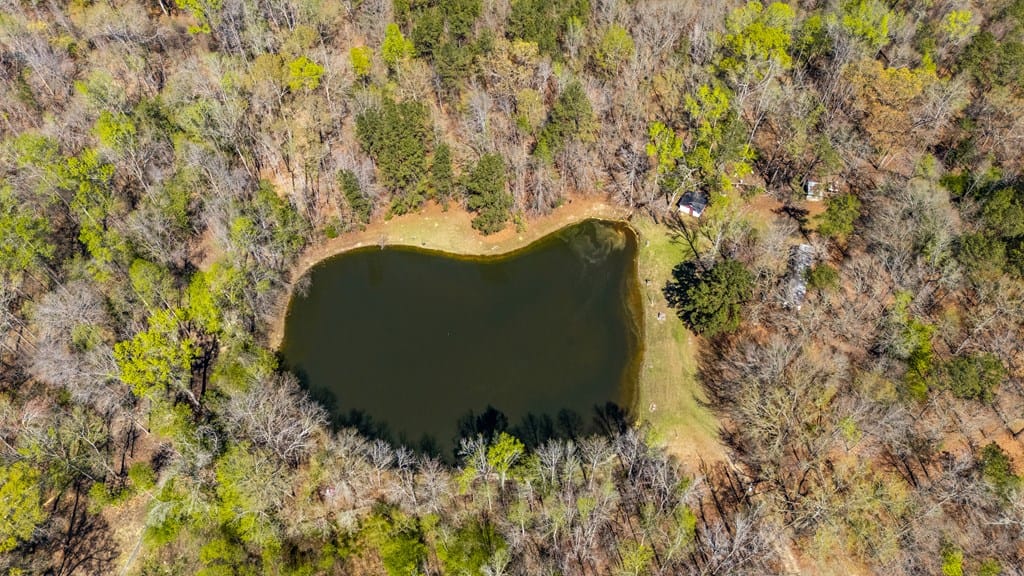 10477 Macon Road, Midland, GA, 31820 — Photo 2