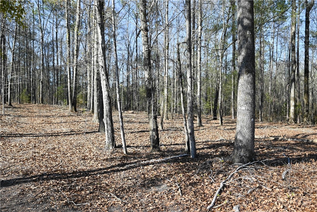 3695 RIDGELINE, Auburn, AL, 36830