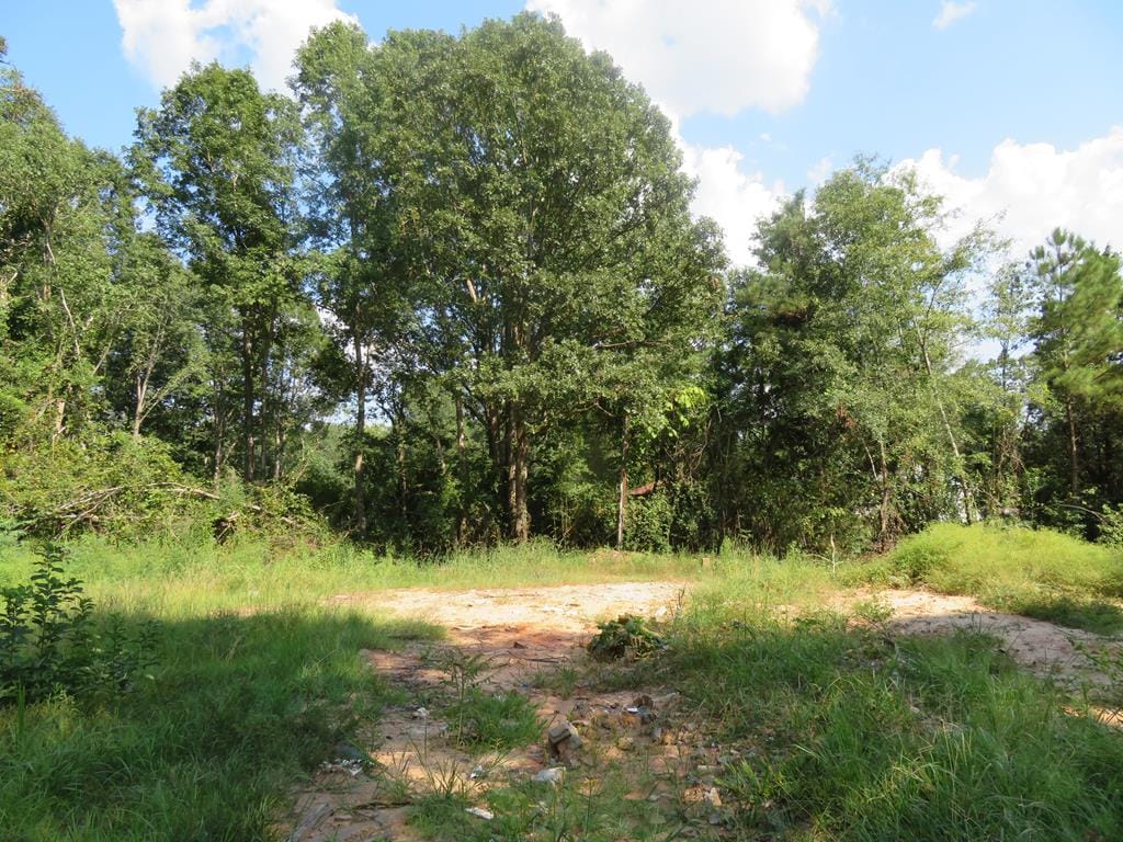 16505 Ga Hwy 0315, Ellerslie, GA, 31807