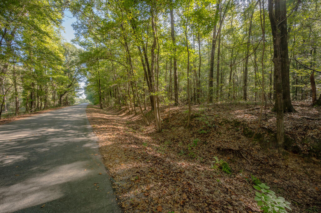 0 Briar Creek Road, Pittsview, AL, 36871