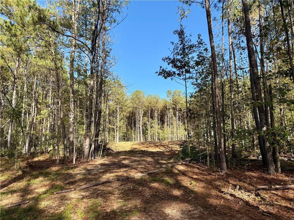 365 US HWY 169 South, Seale, AL, 36875