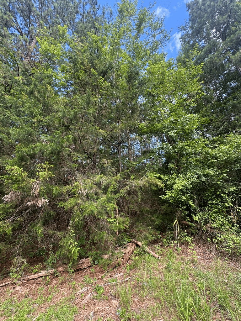Melody Dr, Waverly Hall, GA 31831