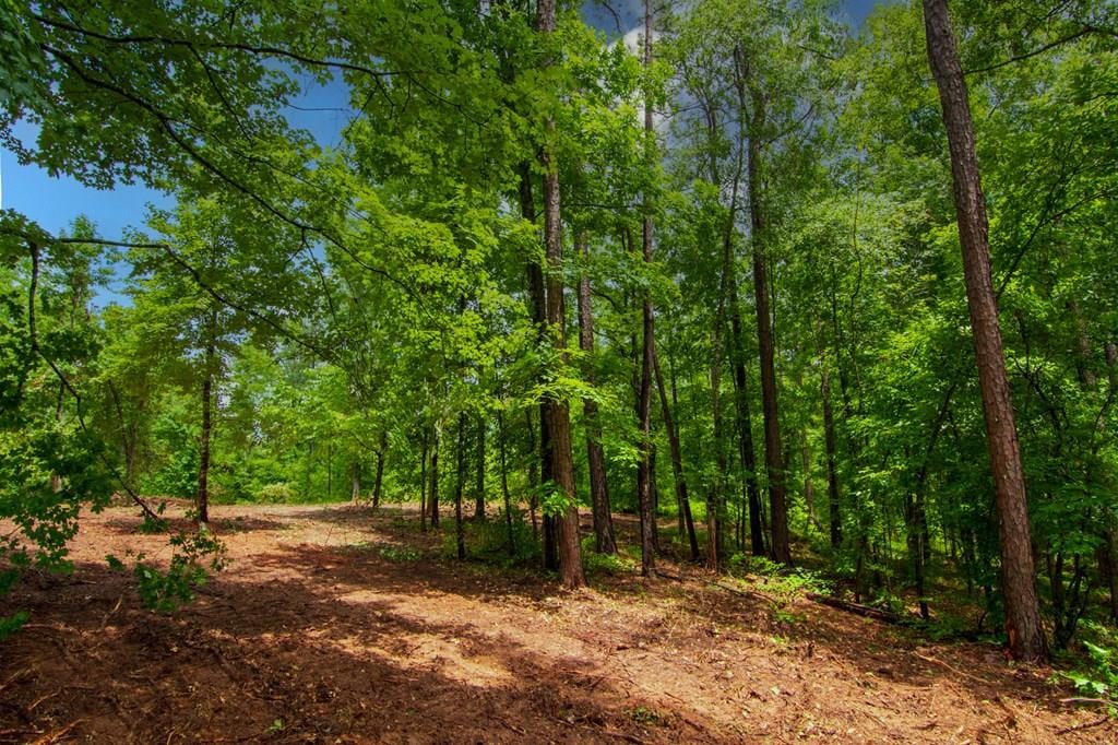 0 Morgan Copeland Road, Hamilton, GA, 31811, Main View