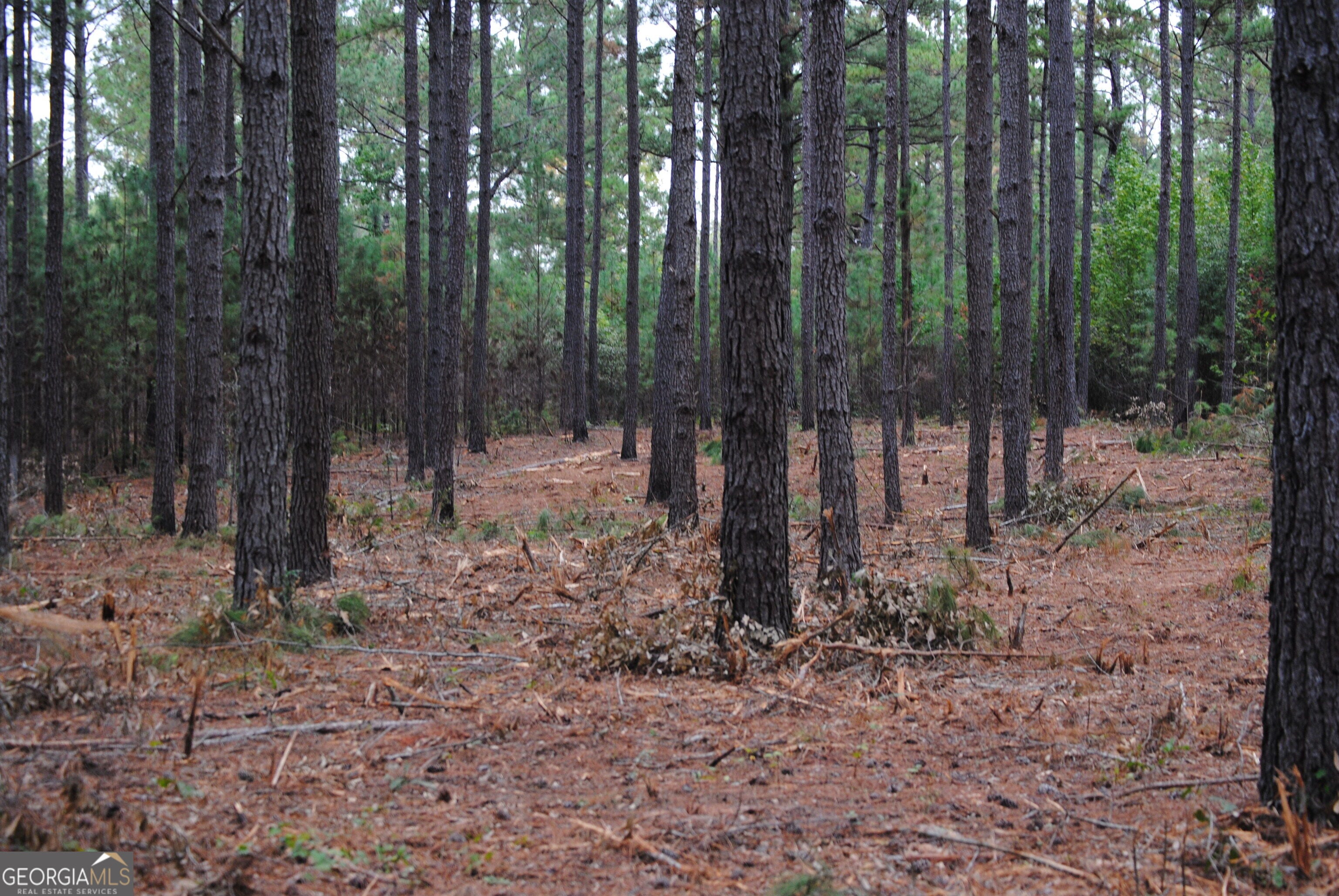 137 W Drummond Rd #6, West Point, GA 31833