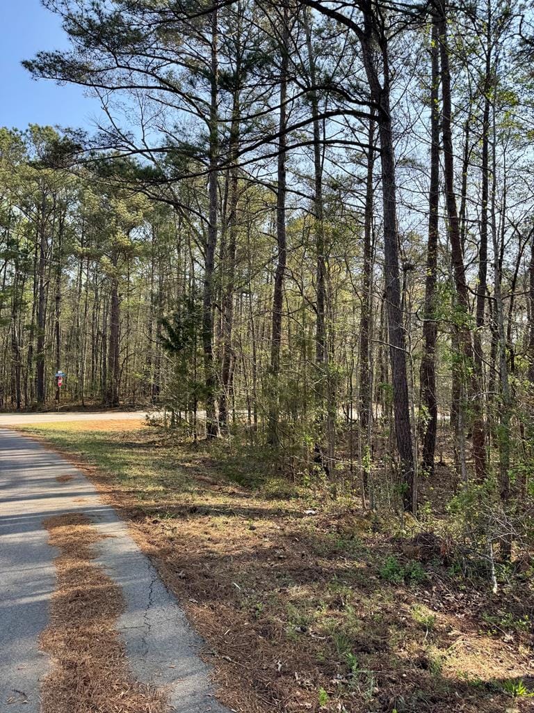 0 Leisure Circle, Pine Mountain, GA, 31822